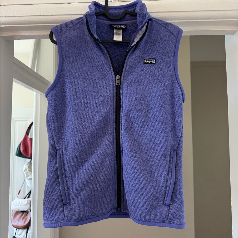 Patagonia Blue/Purple Fleece Vest